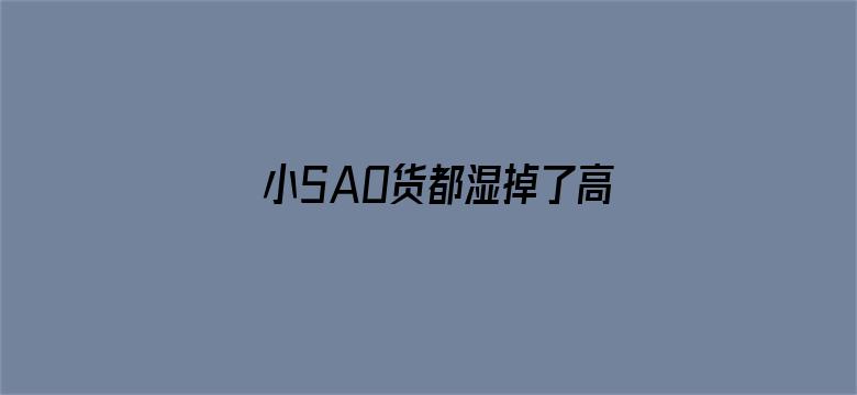 >小SAO货都湿掉了高H奶头好硬横幅海报图